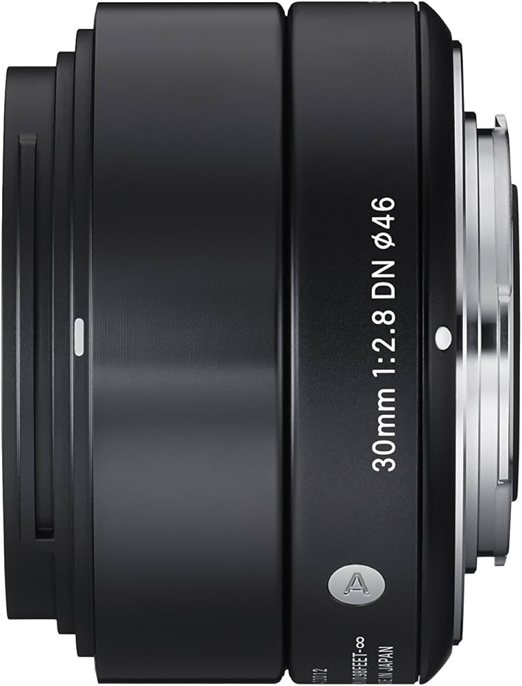Amazon.com : Sigma 30mm F2.8 EX DN Art (Black) for Sony SE