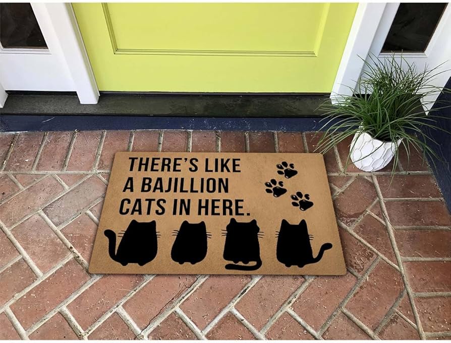 Amazon.com: Funny Welcome Doormat There's Like a Bajillion Cats In