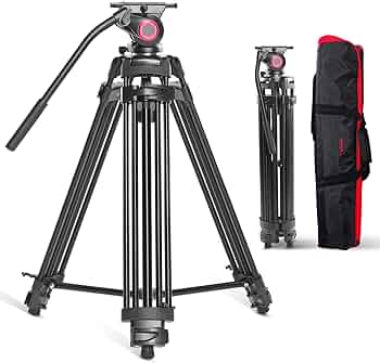 71M-LhdmIwL._AC_UF350,