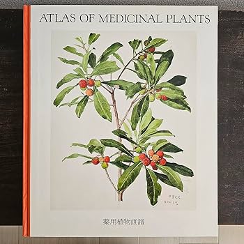 Amazon.co.jp: 初版 薬用植物画譜 小磯良平 刈米達夫 日本臨牀社