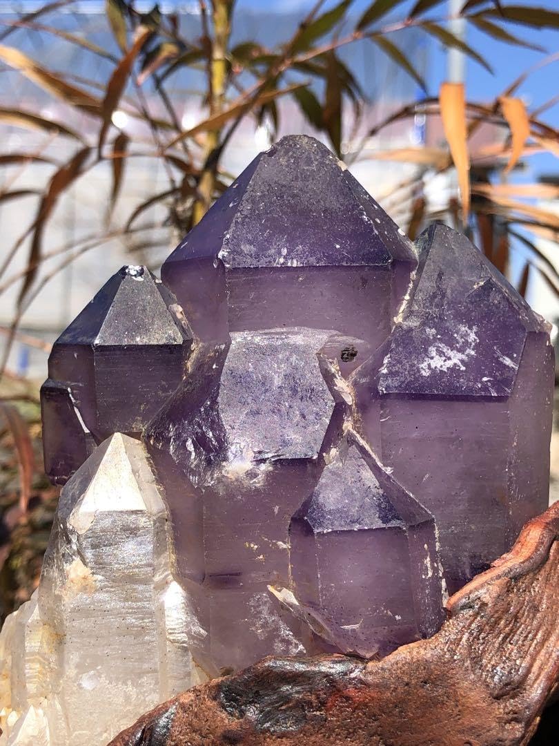 Amazon.co.jp: 超レア 690g極上 城 紫鰐水晶 骸骨水晶 エレスチャル