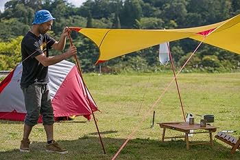 Amazon | MSR アウトドア タープ ランデブーサンシールド 120ウィング