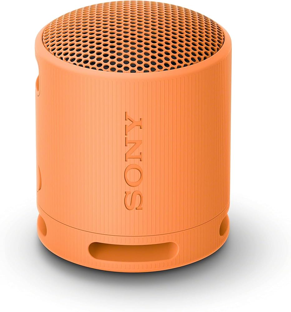 Amazon.com: Sony SRS-XB100 Wireless Bluetooth Portable Lightweight