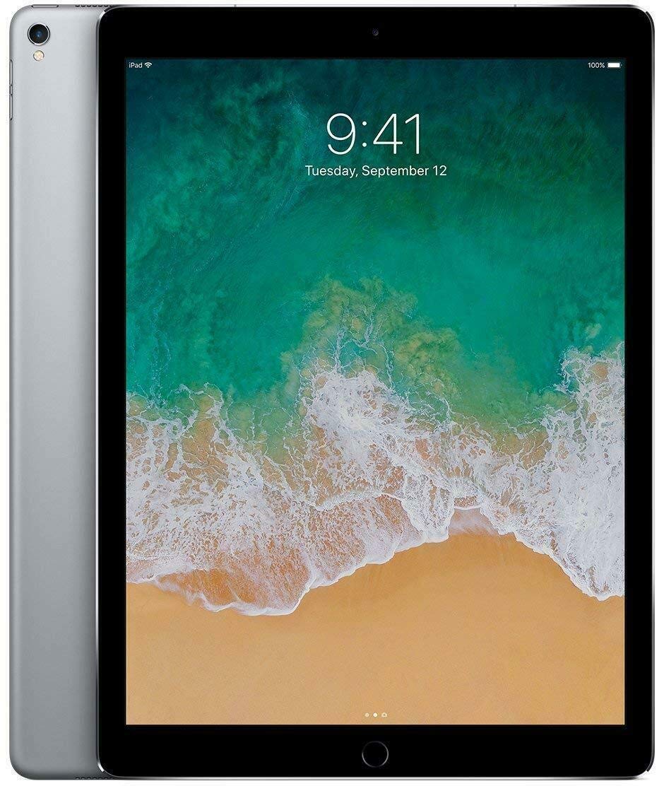 Amazon.com : APPLE MP6G2LL/A iPad Pro with Wi-Fi 256GB, 12.9in