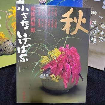 Amazon.co.jp: 勅使河原 霞 「小さな いけばな」 : おもちゃ