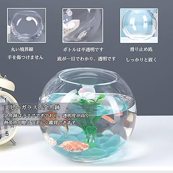 Amazon | おしゃれ 金魚水槽 透明 丸 金魚水槽 砂利 水草 石 金魚鉢