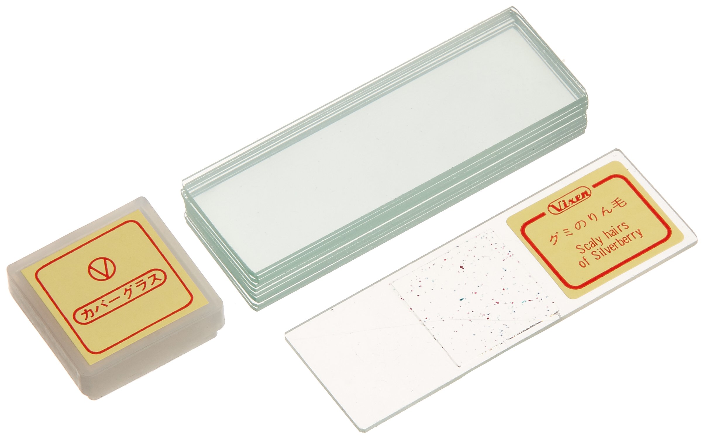 Amazon.co.jp: Vixen 顕微鏡 学習用顕微鏡 スタンダードシリーズSA-300