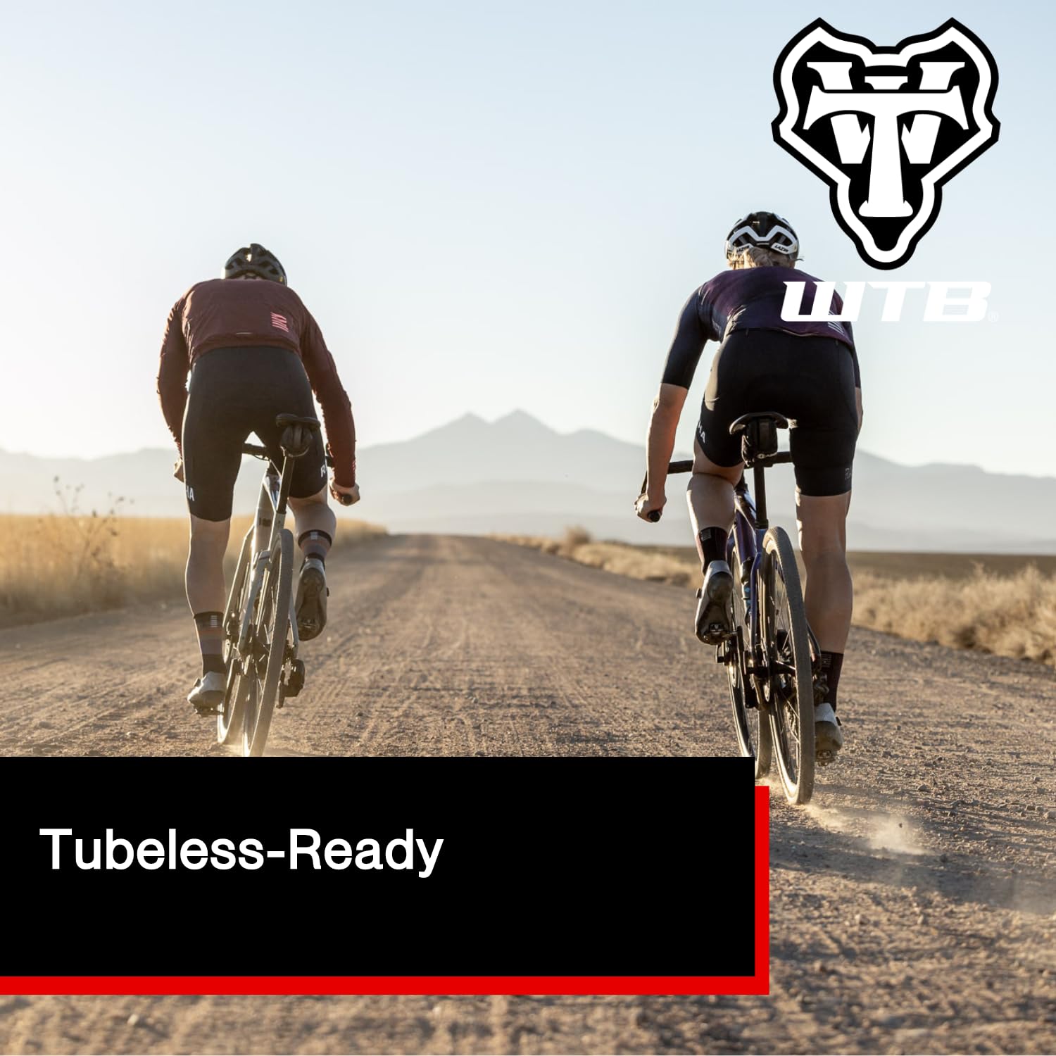 Amazon | WTB Vulpine 36 x 700 チューブレスタイヤ TCS ライト