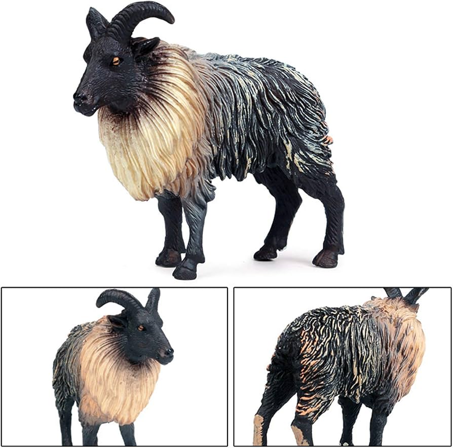 Amazon.co.jp: Eden Toys ヒツジ 羊 綿羊 ヤギ 山羊 動物 野生動物