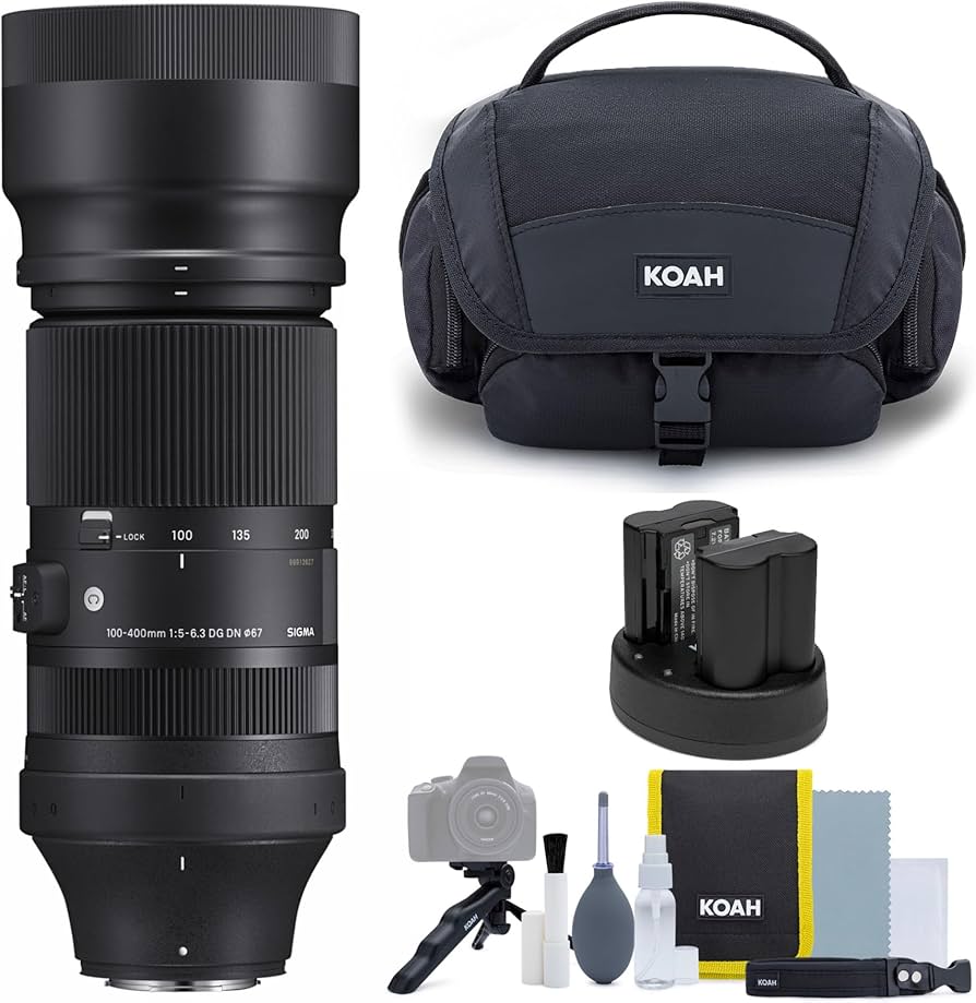 Amazon.com : Sigma 100-400mm F5-6.3 DG DN OS Contemporary