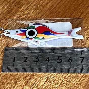 Amazon | 岡本太郎 TARO鯉 鯉のぼり リフレクター ネーム こいのぼり