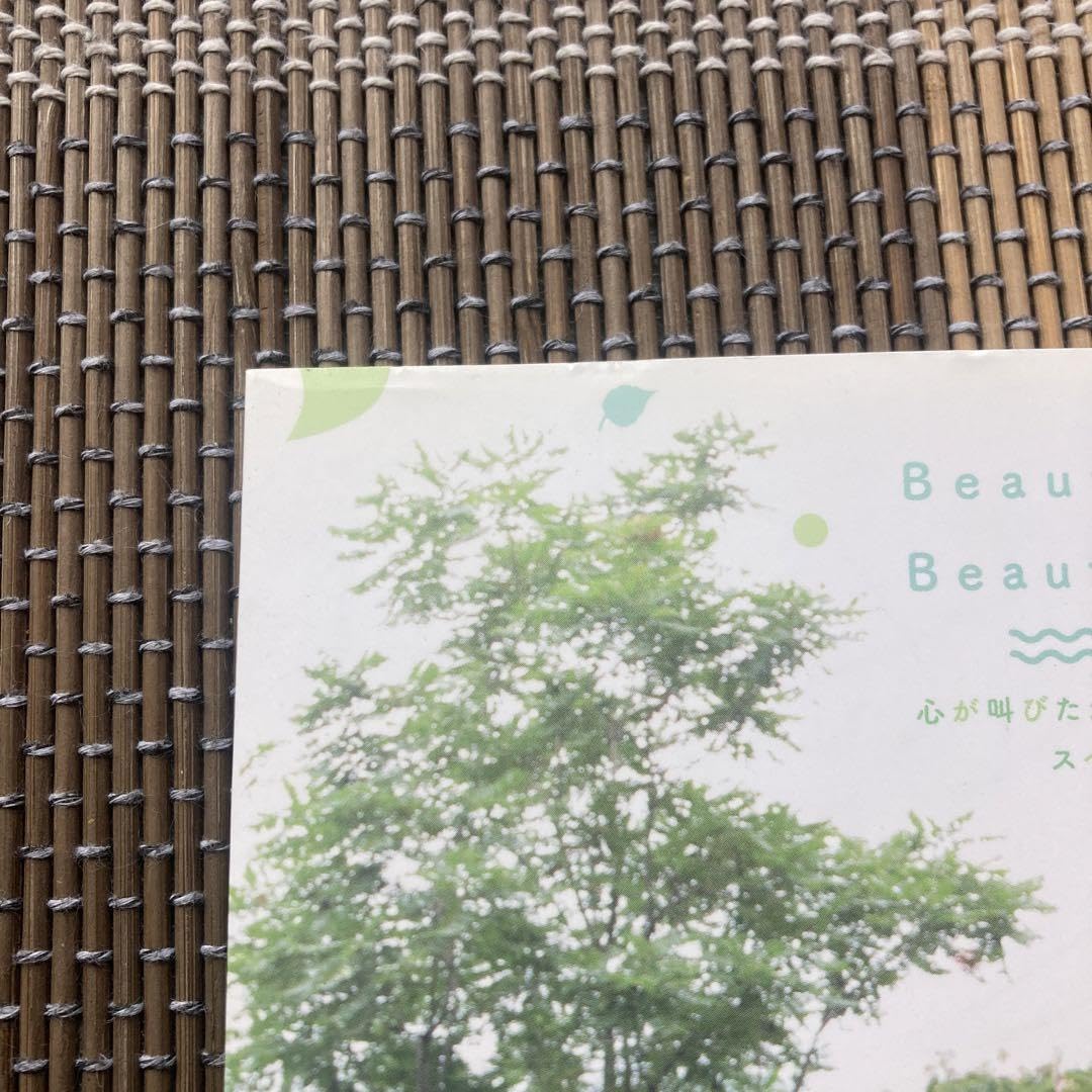 Amazon.co.jp: 水瀬いのり 写真集 心が叫びたがってるんだ ×水瀬いのり