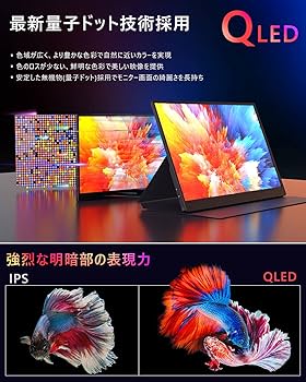 Amazon.co.jp: モバイルモニター QLED 100% DCI-P3 広色域 15.6インチ