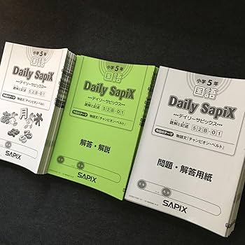 Amazon.co.jp: サピックス 5年 国語 1年分 季節講習 デイリーチェック