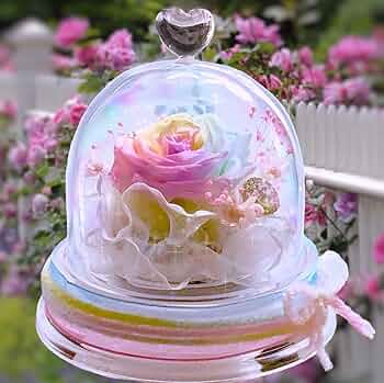 71OSmD3ttsL._AC_UF350,