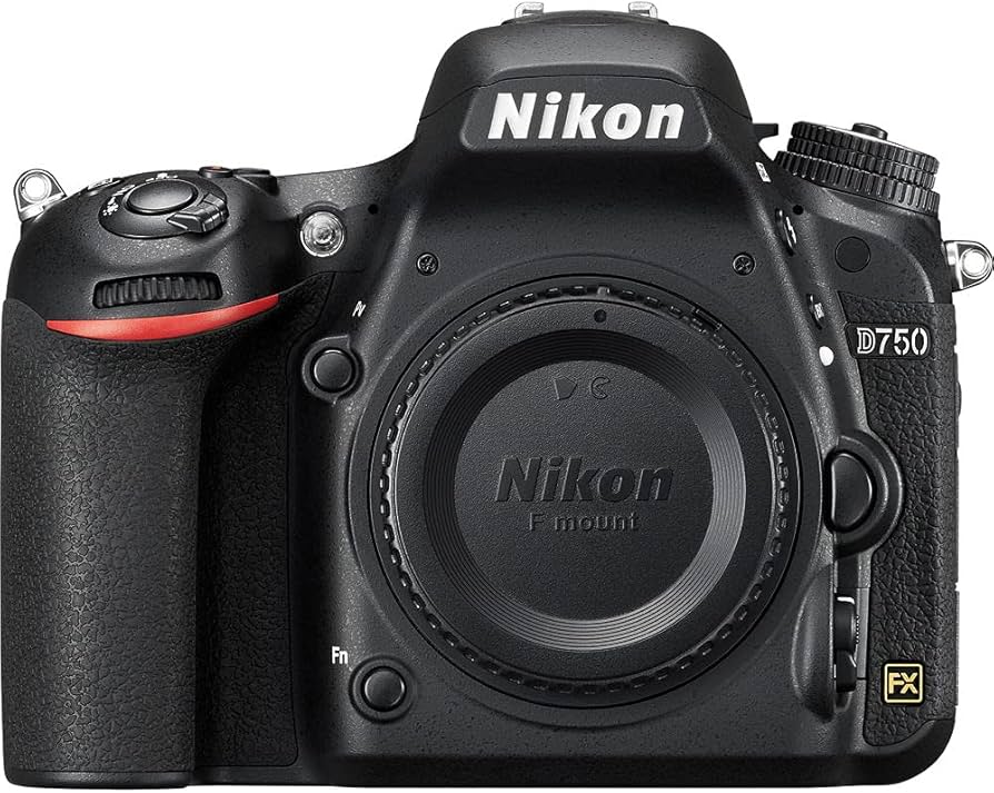 Amazon.com : Nikon D750 24.3MP DSLR Digital Camera with AF-S 50mm