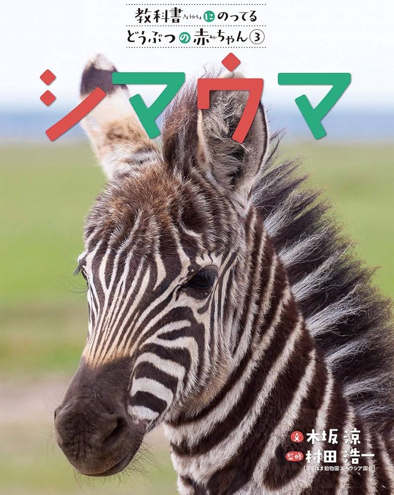 シマウマ | 木坂 涼, 村田浩一 |本 | 通販 | Amazon