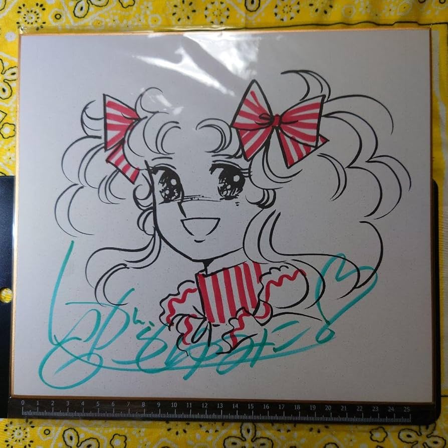 Amazon.co.jp: キャンディキャンディ いがらしゆみこ サイン色紙 東映