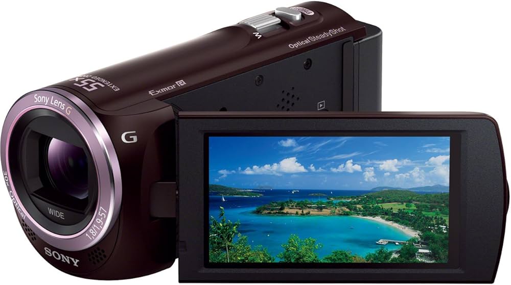 Amazon | SONY デジタルHDビデオカメラレコーダー「HDR-CX390