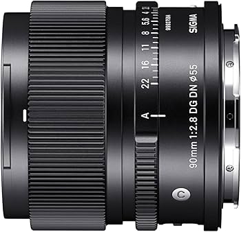 Amazon.com : Sigma 90mm F2.8 DG DN for L Mount : Electronics