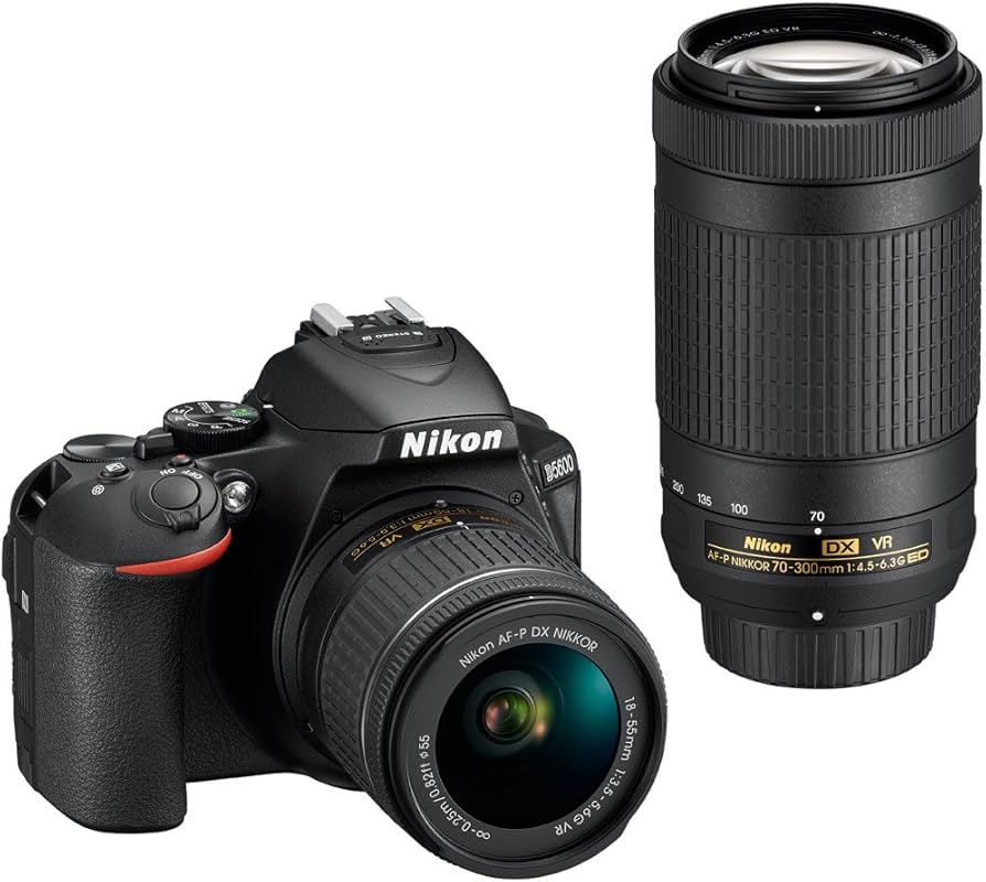 Amazon.com : Nikon D5600 24.2 MP DX-Format DSLR Camera with AF-P