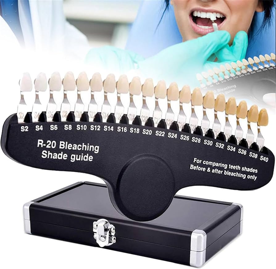 Amazon.co.jp: 20 色歯科歯シェードガイドモデル、 3D