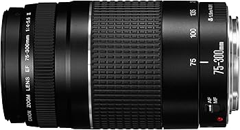 Amazon.com : Canon EF 75-300mm f/4-5.6 III Telephoto Zoom Lens