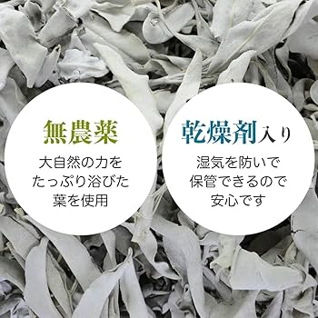 Amazon | 無農薬 ホワイトセージ 枝付き (クラスター) 約100g