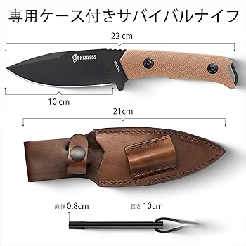 71PnZg55YhL._AC_UF350,