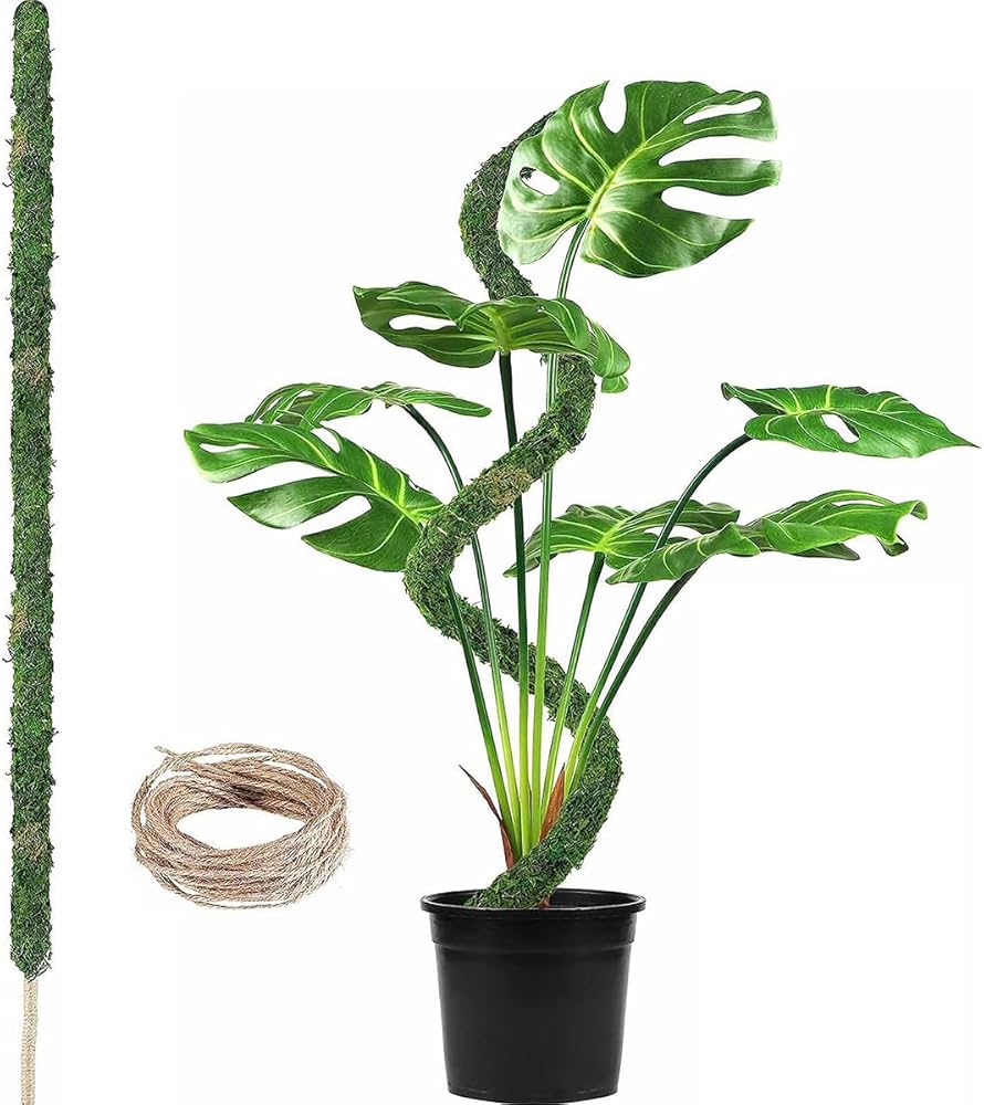 Amazon | 園芸支柱 モスポール モンステラ観葉植物 ポトス ヘゴ ココ