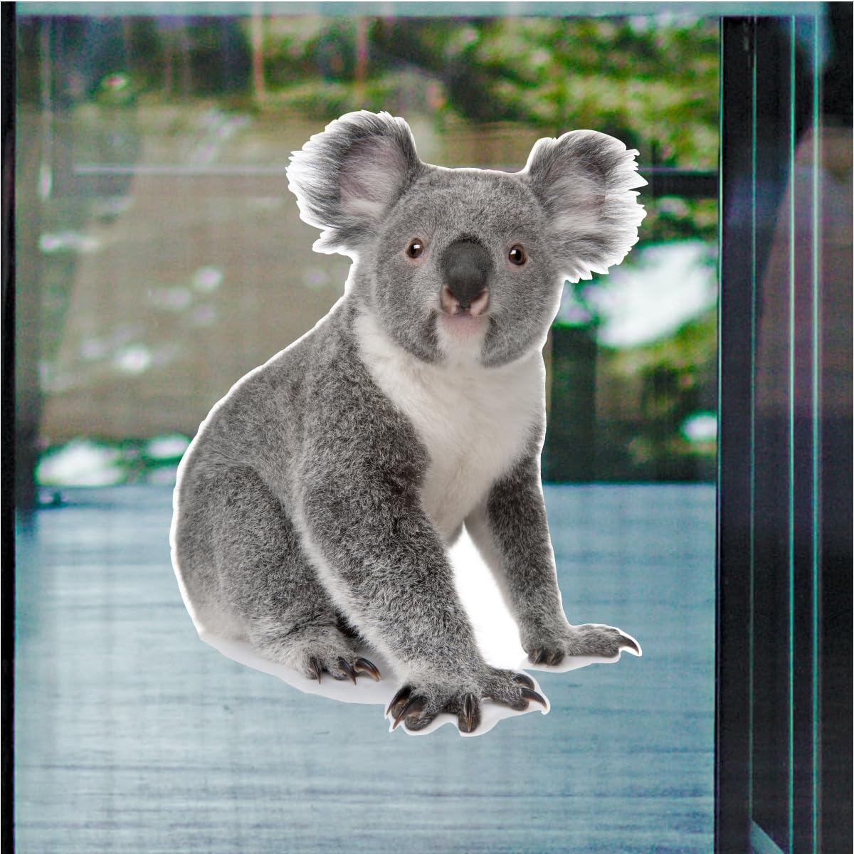 Amazon.com: Koala Bear 12 inch Static Cling : Electronics