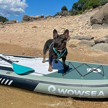 Amazon | WOWSEA (ワウシー) ポセイドン P3 空気注入式パドルボード
