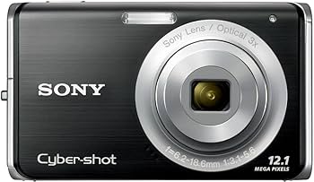 Amazon.com : Sony Cybershot DSC-W190 12.1MP Digital Camera with 3x