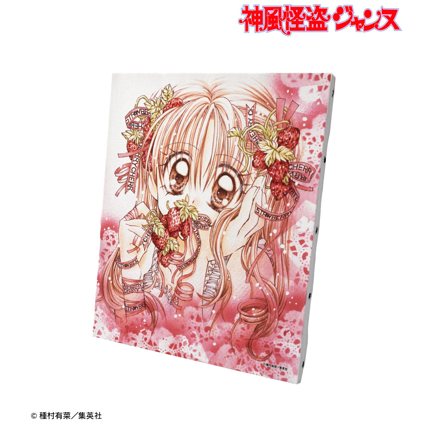 Amazon.co.jp: 神風怪盗ジャンヌ 通常版5巻表紙イラスト キャンバス