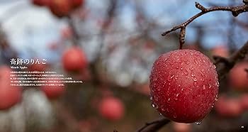 Amazon.co.jp: JAPONISÉE 三國清三 : 三國清三: Japanese Books