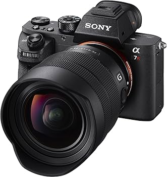 Amazon.co.jp: SONY(ソニー) 広角ズームレンズ フルサイズ FE 12-24mm