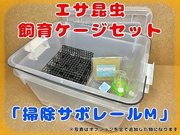 Amazon.co.jp: デュビア、レッドローチ、コオロギ飼育ケージ【掃除