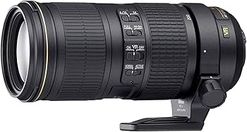 Amazon | Nikon 望遠ズームレンズ AF-S NIKKOR 70-200mm f/4G ED VR
