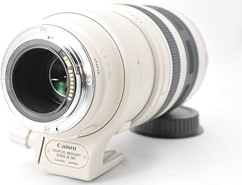 Amazon.co.jp: Canon 望遠ズームレンズ EF100-400mm F4.5-5.6L IS USM