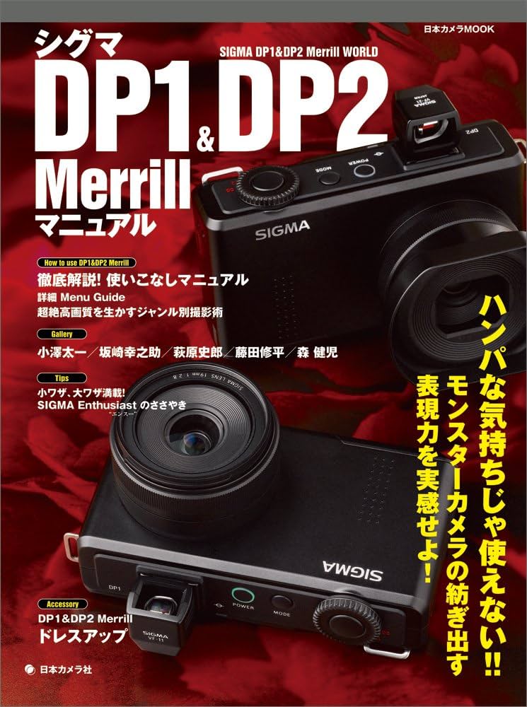 SIGMA DP2 動作確認済み 欠品ありAML-1付き その他おまけ 2026年最新