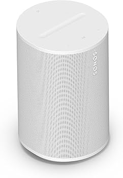 Amazon.com: Sonos Era 100 - White - Wireless, Alexa Enabled Smart