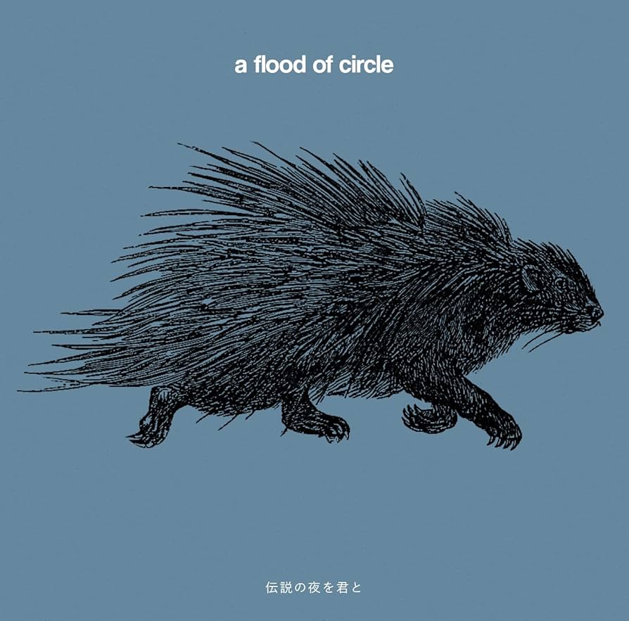 Amazon.co.jp: 伝説の夜を君と(通常盤): Music