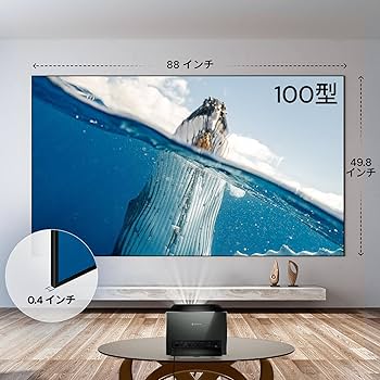 Amazon | Valerion 100インチ フレネル ALR プロジェクタースクリーン