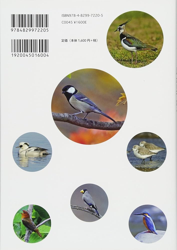 季節とフィールドから鳥が見つかる—1年で240種の野鳥と出会う | 中野