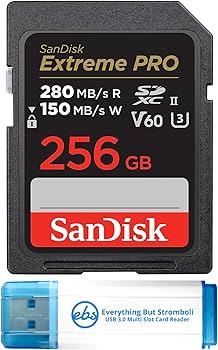 Amazon | SanDisk 256GB Extreme Pro SD UHS-II メモリーカード Canon
