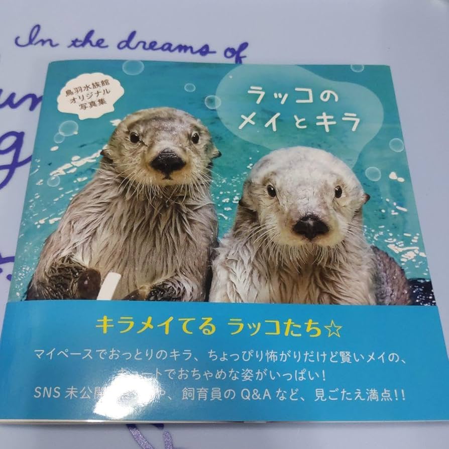 Amazon.co.jp: ラッコのメイとキラ 写真集 鳥羽水族館 : おもちゃ
