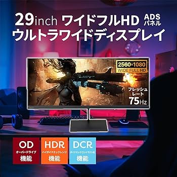 Amazon.co.jp: DOSHISHA ドウシシャ ORION D292WVG 液晶ディスプレイ