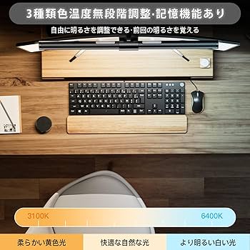 Amazon.co.jp: Iseebiz モニターライト リモコン付き バーライト