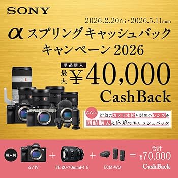 Amazon.co.jp: SONY(ソニー) 広角単焦点レンズ フルサイズ FE 24mm F1