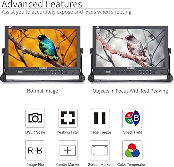 Amazon.com: SEETEC P173-9HSD 17.3 Inch 1920x1080 Desktop Monitor